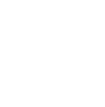 Wallace-Nelson-Logo.png
